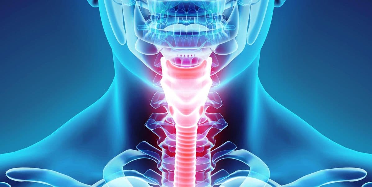 صورة منشأة Dr.dimaalali - قسم دكتور أنف أذن حنجرة (ENT) في دمر 8