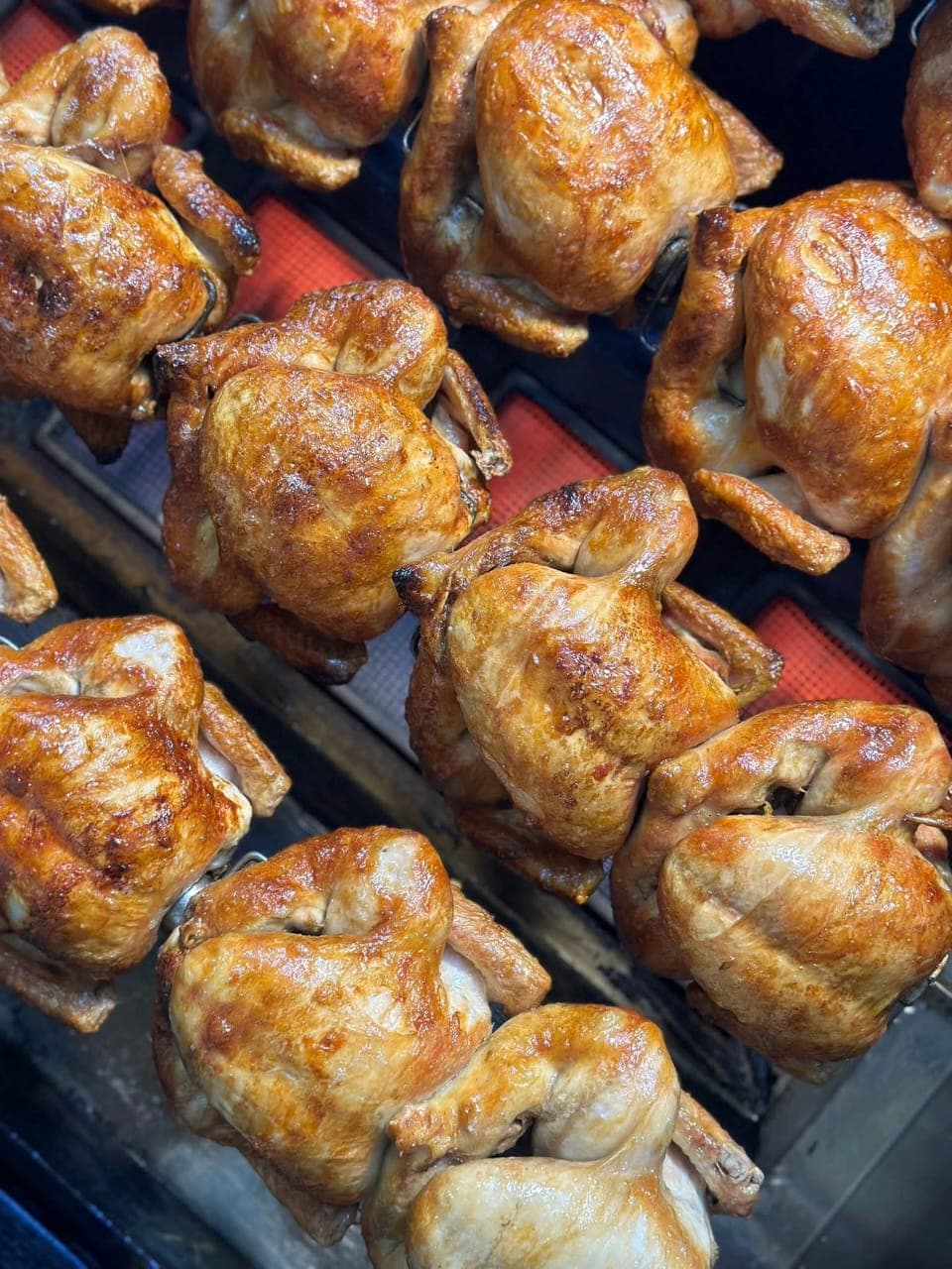 صورة منشأة white chicken- وايت تشكن - قسم مطاعم غربية في ساروجة 2