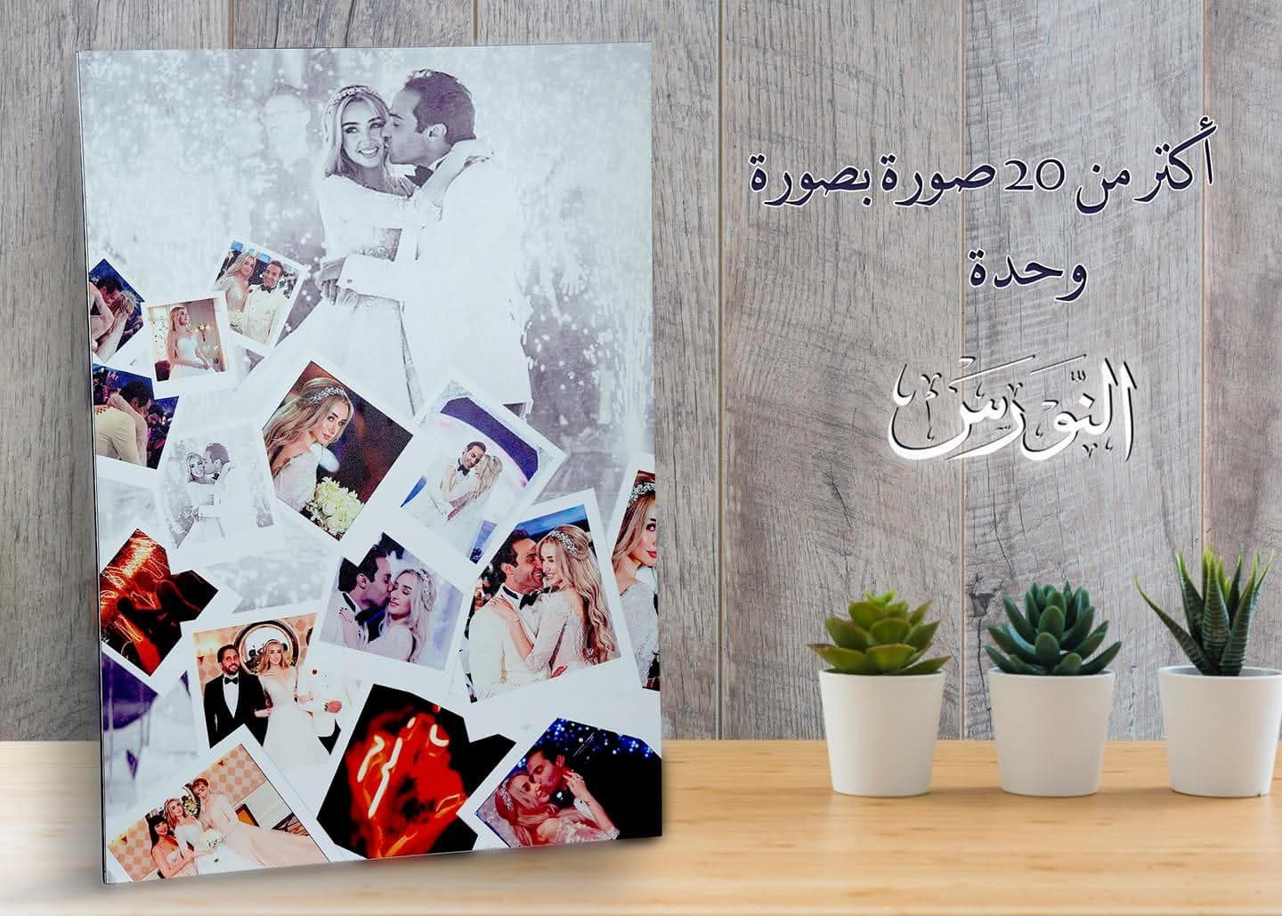 صورة منشأة مركز النورس للتصوير الفوتوغرافي - قسم شركات تجارية في باب مصلى 2