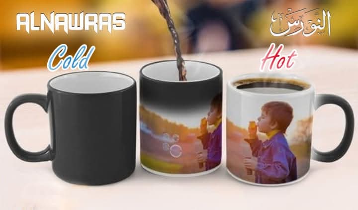 صورة منشأة مركز النورس للتصوير الفوتوغرافي - قسم شركات تجارية في باب مصلى 8